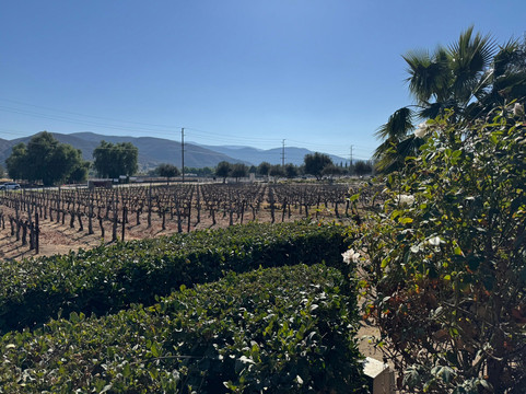 The UnWined Experience-特曼库拉必去景点