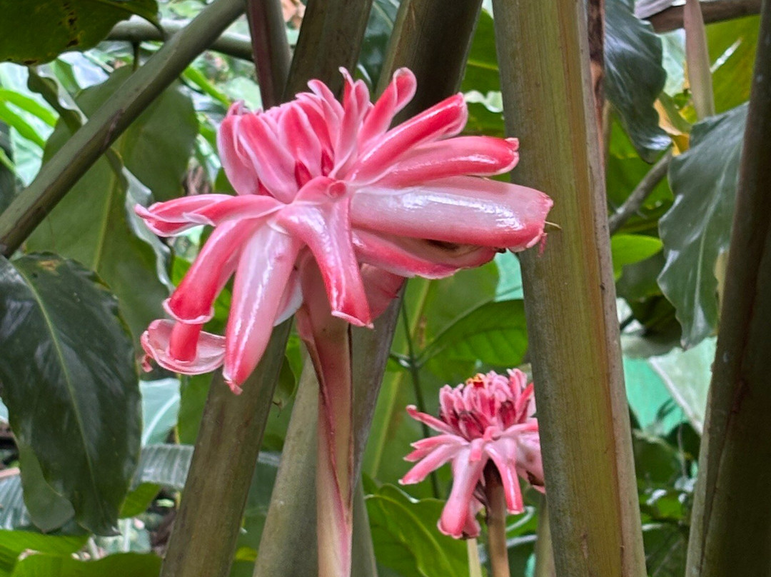 Abraham's Spice Garden-Kumily必去景点