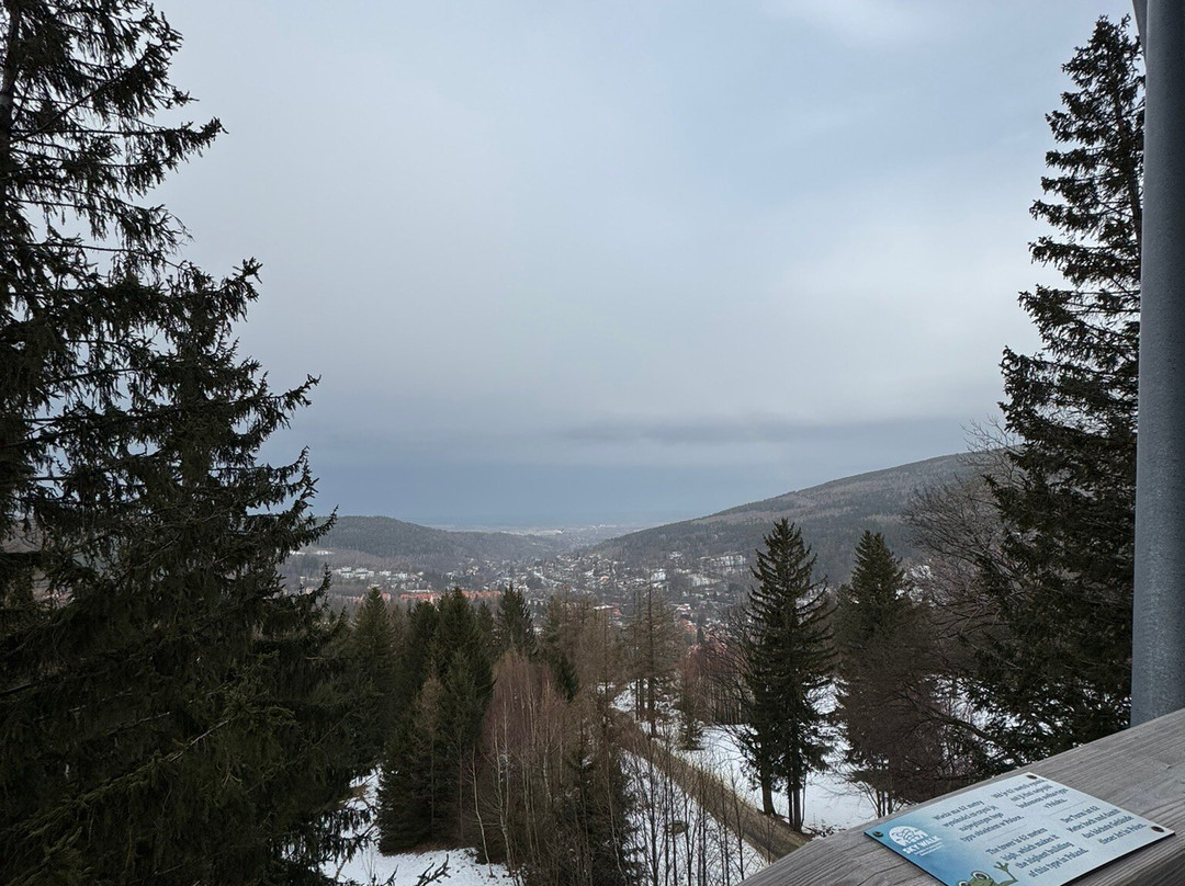 WIEŻA SKY WALK景点图片