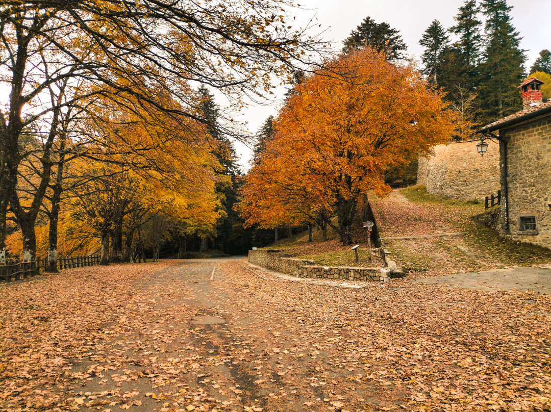 Eremo di Camaldoli景点图片