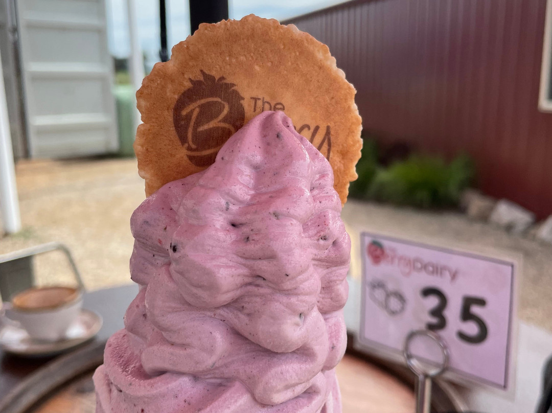 The Berry Dairy-Maffra必去景点