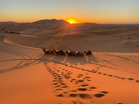 Tarla Tours-卡萨布兰卡必去景点