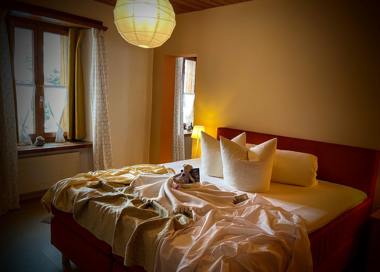 Villa Stelvio-客卧