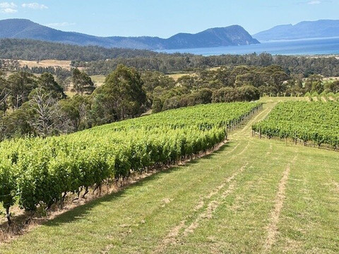 Ageing Barrel Tours-霍巴特必去景点