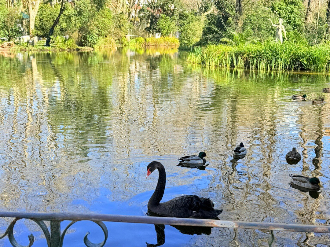 Parque Dom Carlos I景点图片