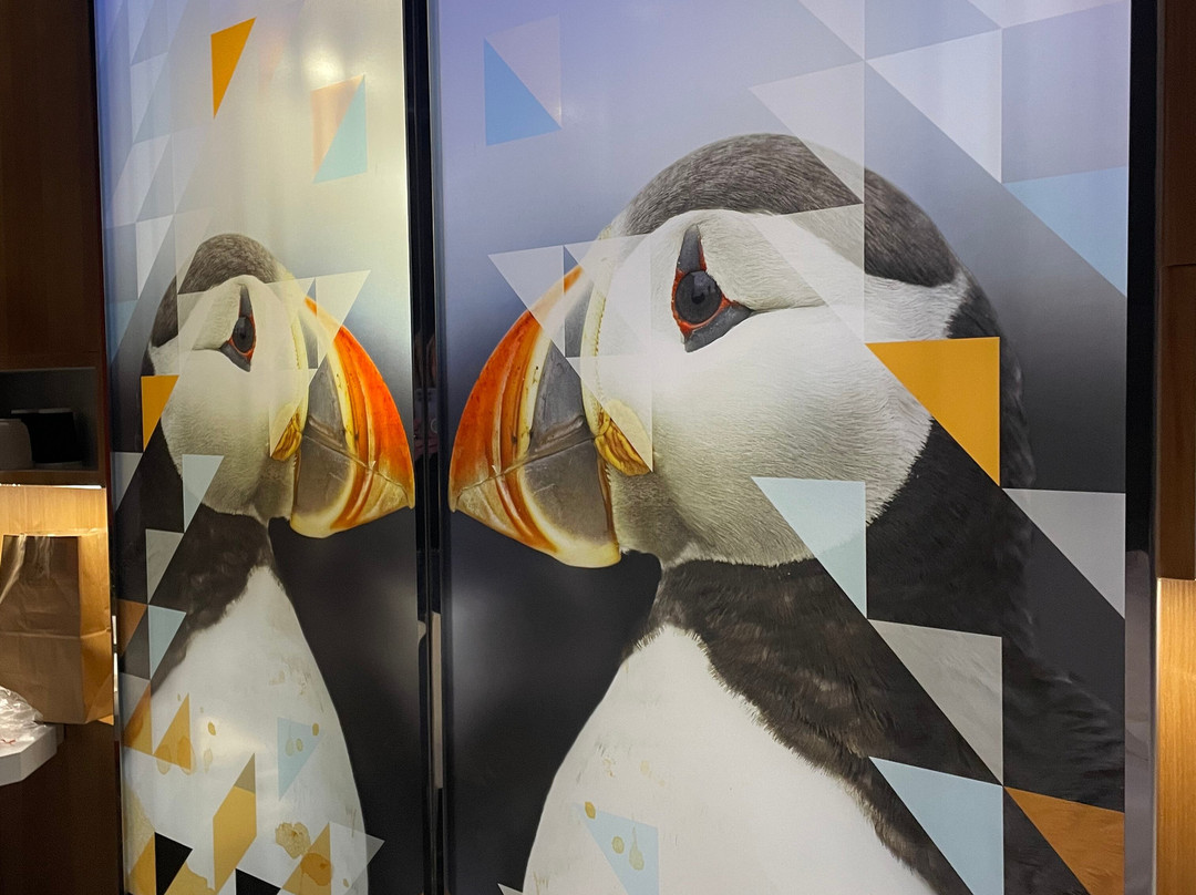 Alt Hotel St. John's主图