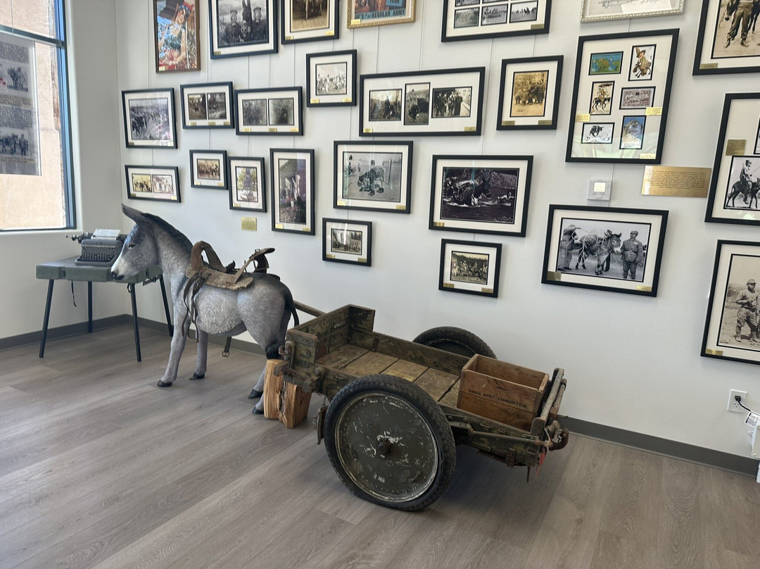 Donkey History Museum景点图片