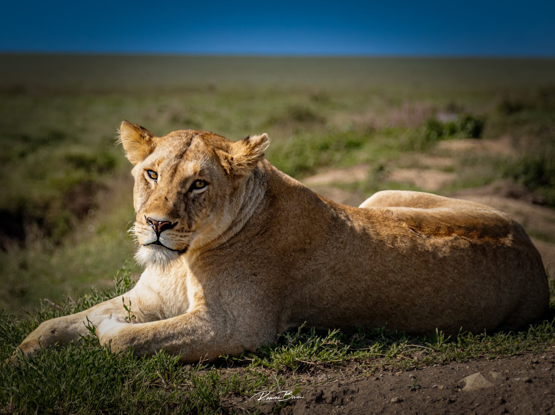 MAASAI AFRICAN GUIDES & DMC Ltd.-阿鲁沙必去景点