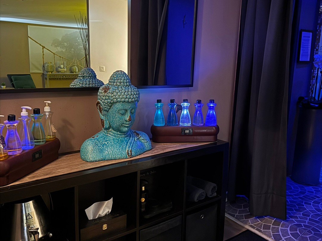 SPA Negresko-马赛必去景点