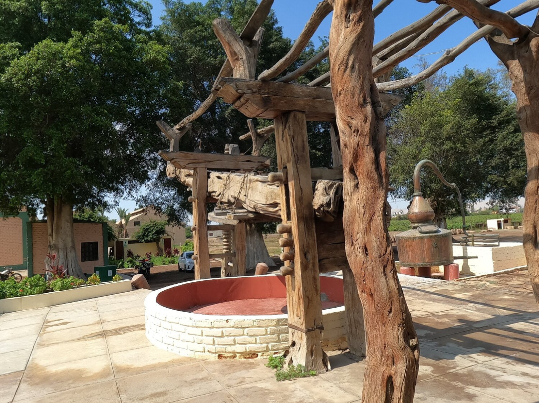 Bodegas Vista Alegre-伊卡必去景点