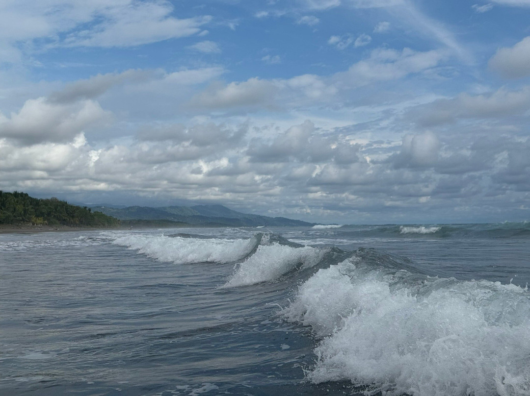 Playa Matapalo景点图片