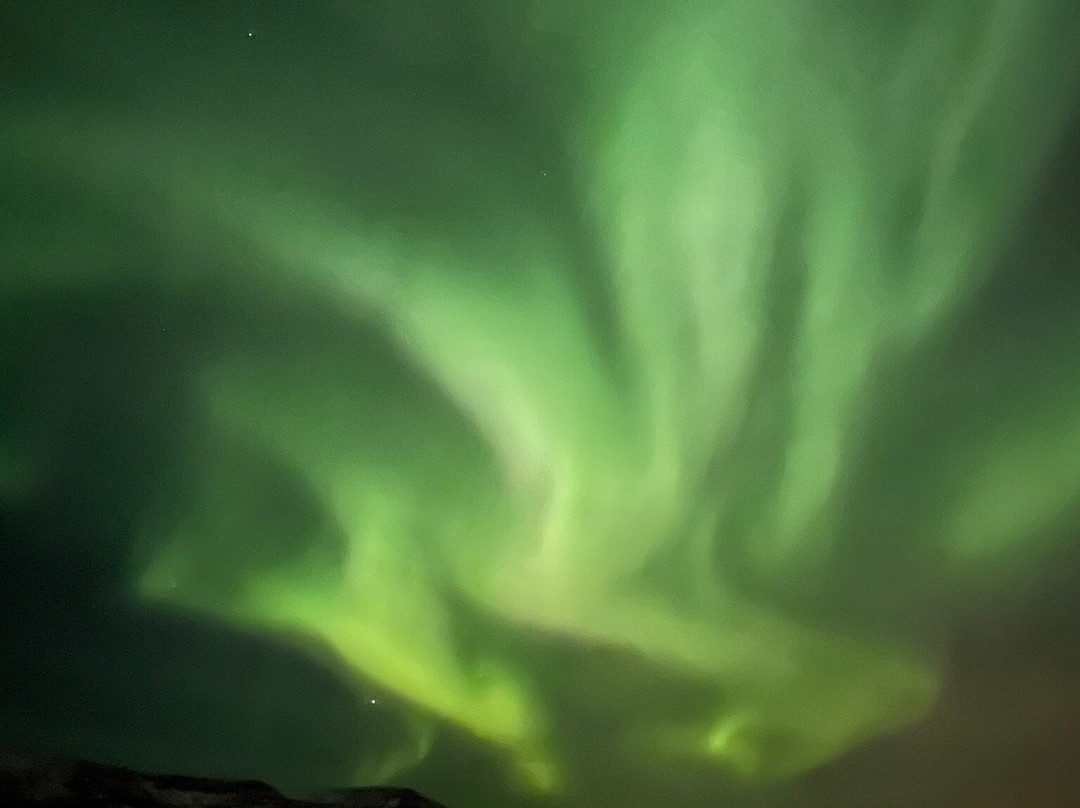 Elding Adventure At Sea - Reykjavik-雷克雅未克必去景点