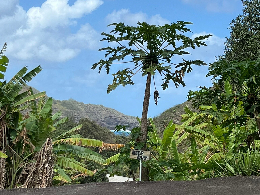 Highway Route 340-毛伊岛必去景点