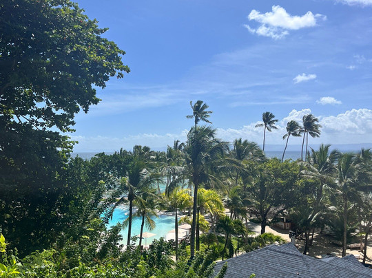 cayo levantado resort的点评