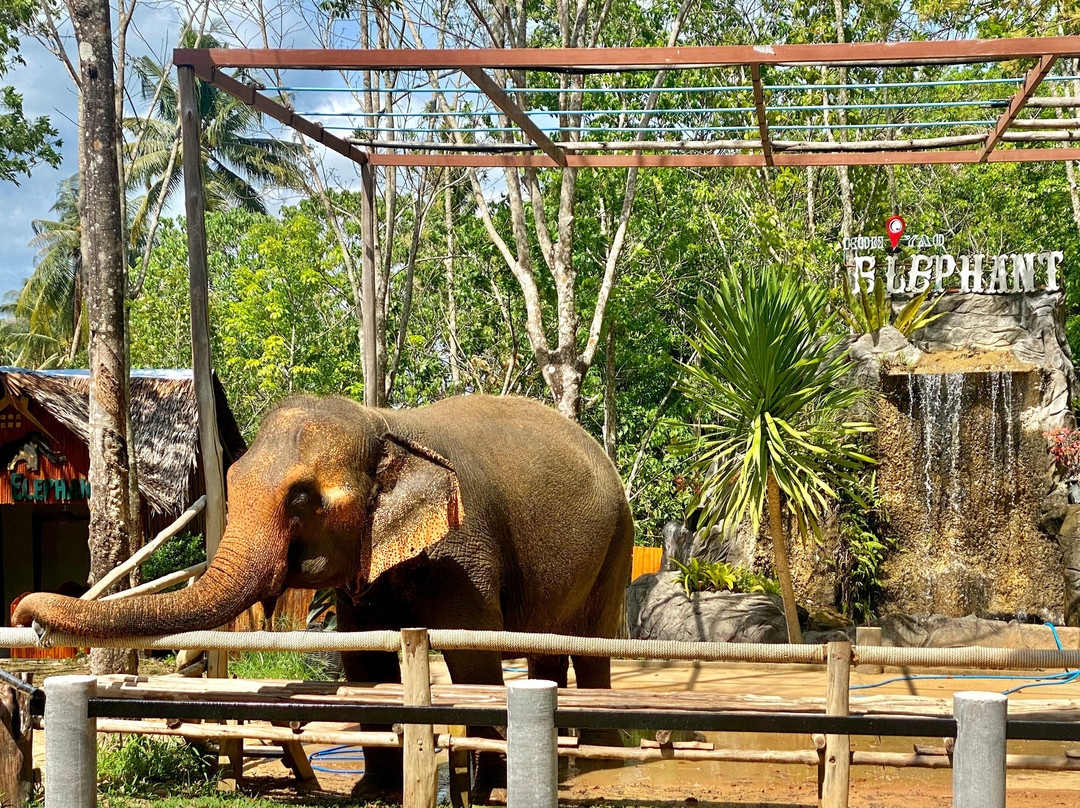 Koh Yao Elephant Care & House-Phru Nai必去景点
