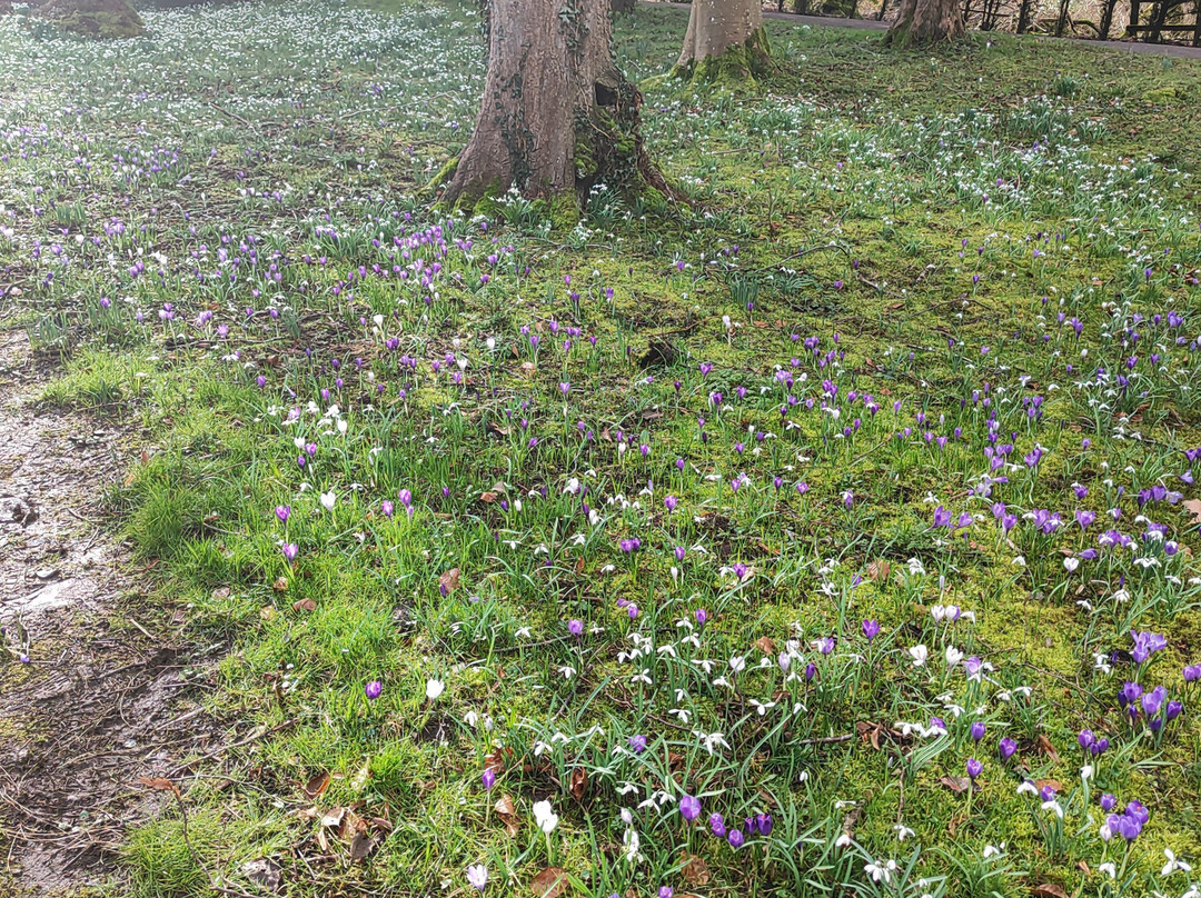 Welford Park-Wickham必去景点