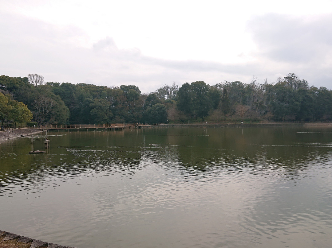 Fukada Pond-橿原市必去景点