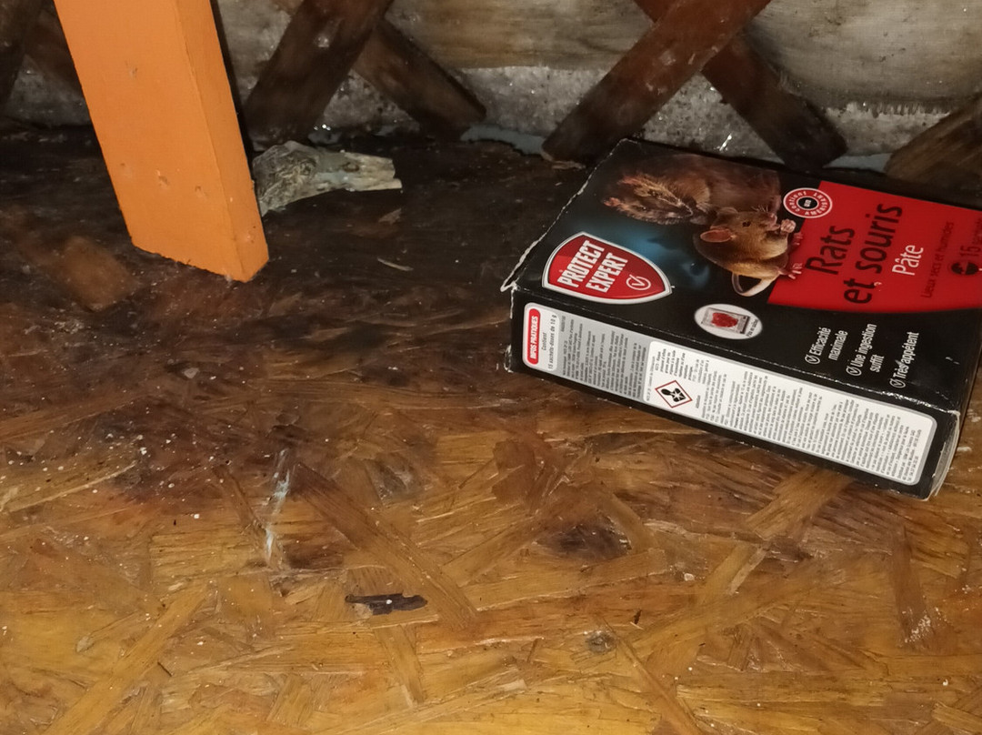 波萨达·曼瑞波莎酒店主图