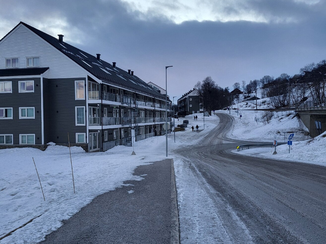 Ustedalen Hotel主图