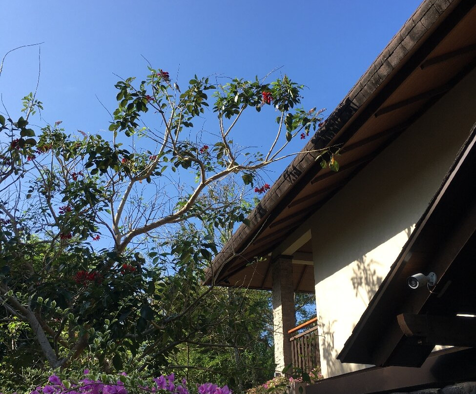 El Jardin de Zaida主图