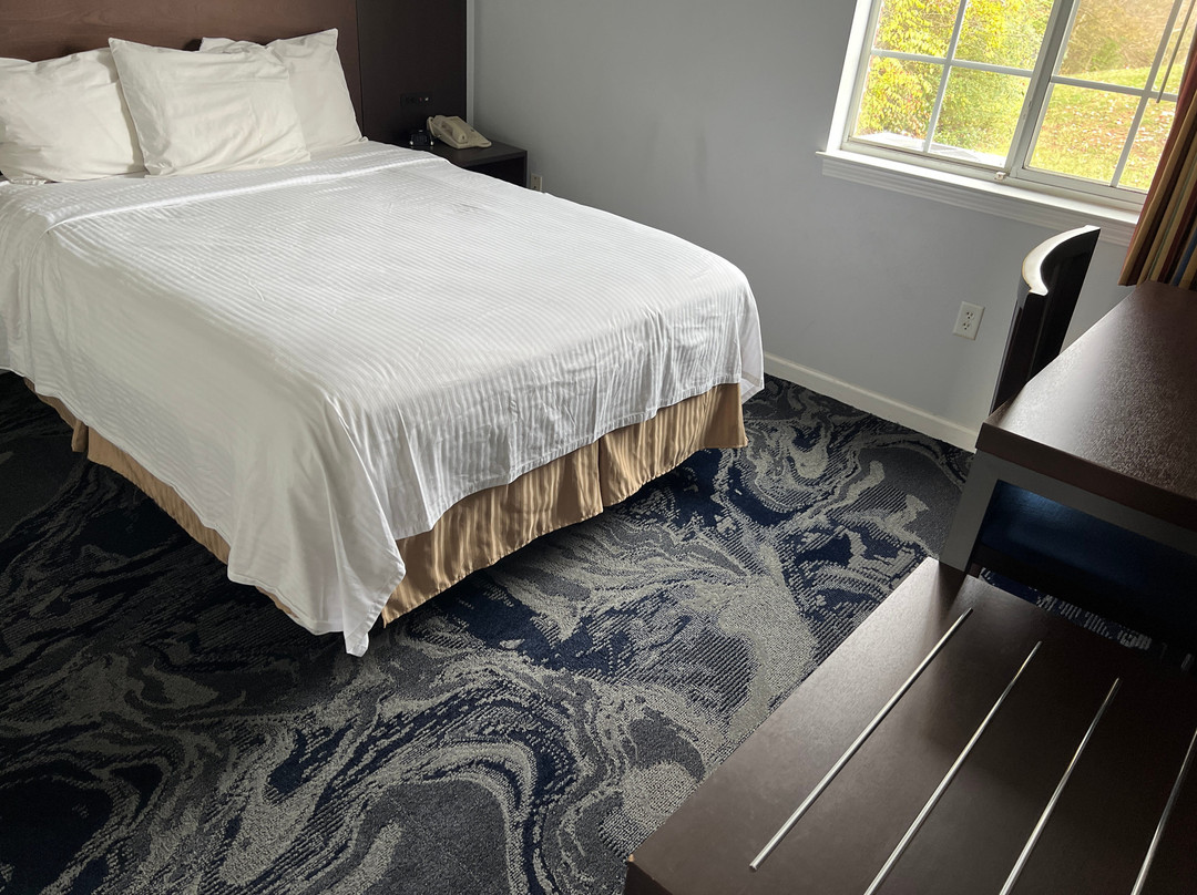 Luxbury Inn & Suites主图