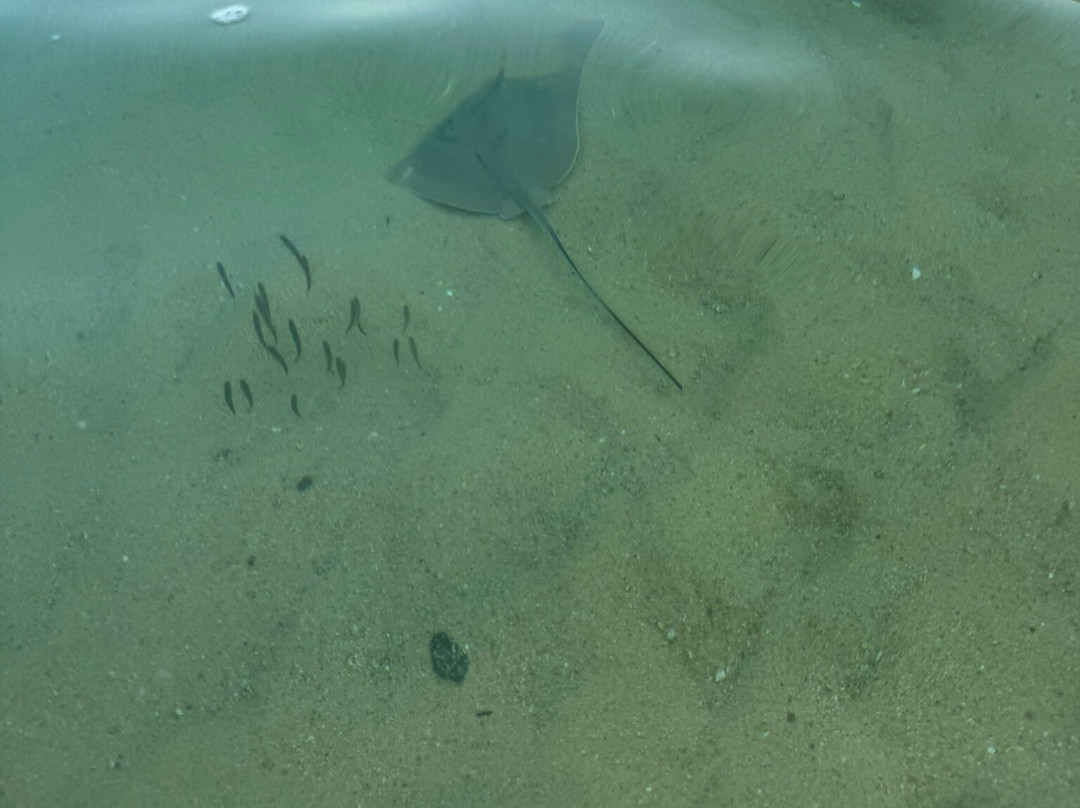 Excursiones Huatulco-瓦图尔科必去景点