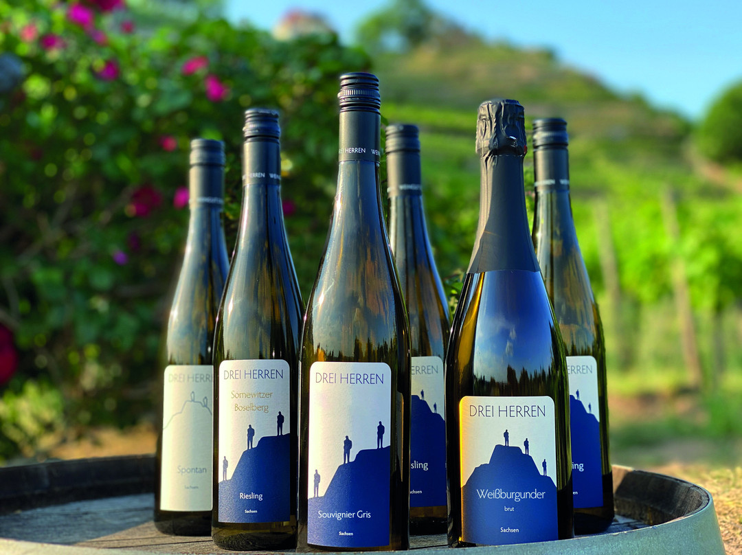 Weingut Drei Herren