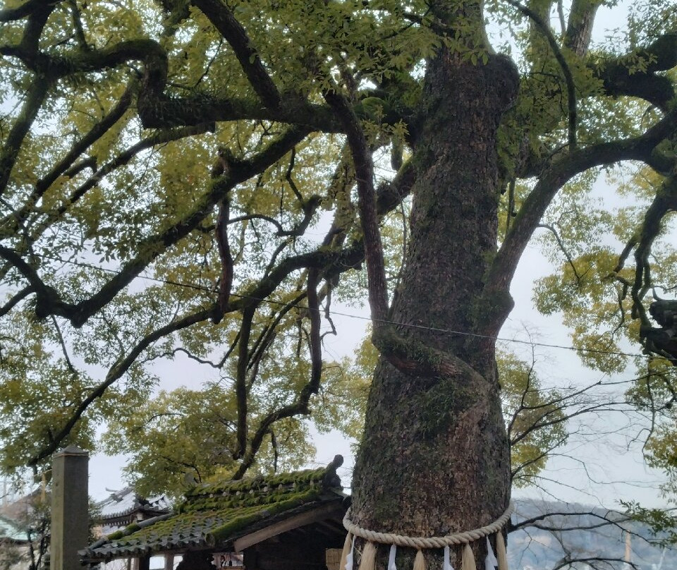 Misode Temmangu Shrine-尾道市必去景点