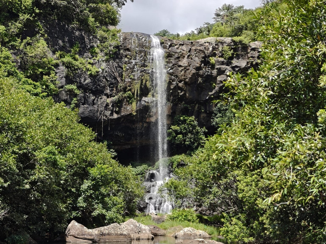Manish Hikes-Henrietta必去景点