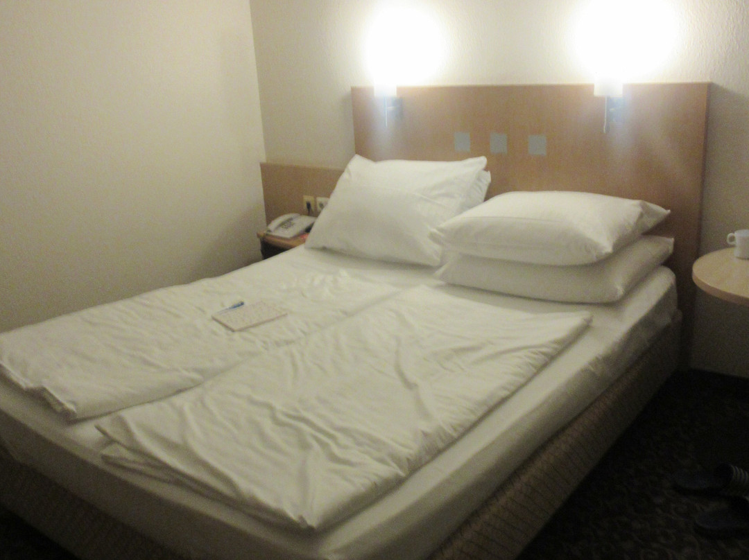 琥珀酒店莱昂贝格/斯图加特主图