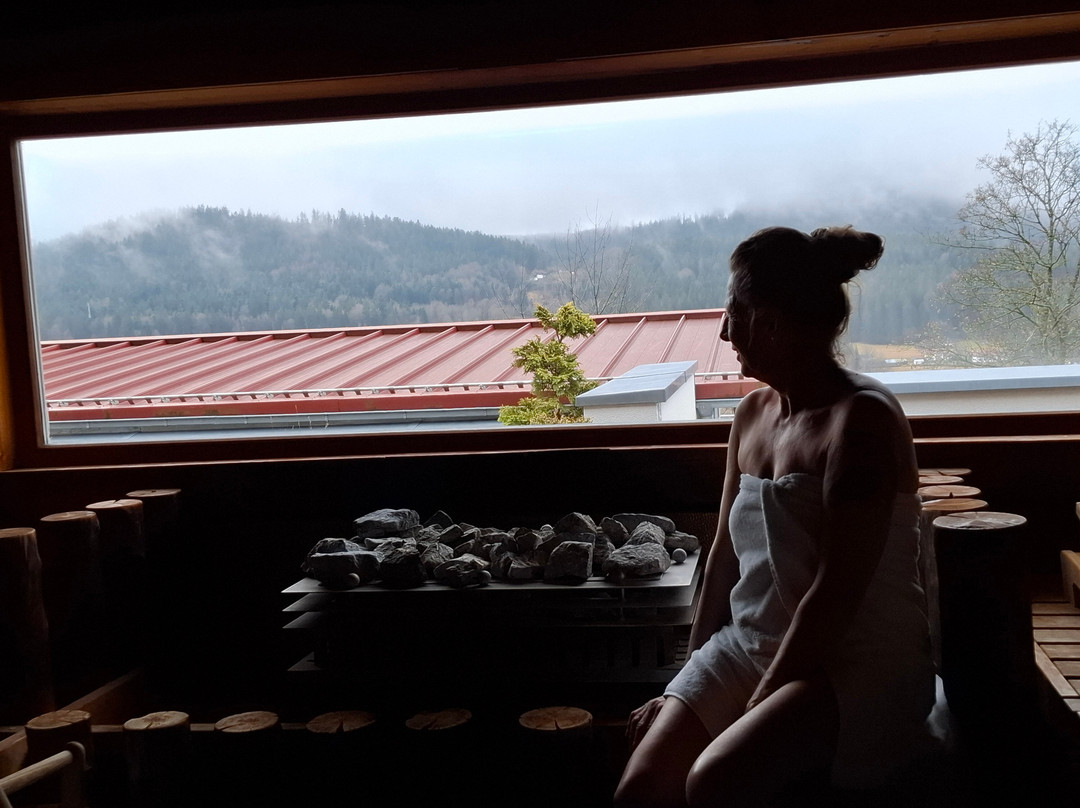 Wellnesshotel Hofbräuhaus主图