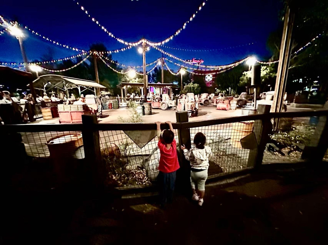 Mater's Junkyard Jamboree-阿纳海姆必去景点