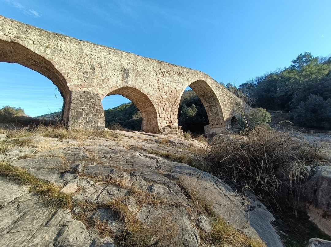 Pont de Pedret景点图片