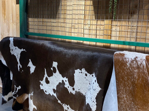 Casa Orígenes De La Patagonia-蓬塔阿雷纳斯必去景点