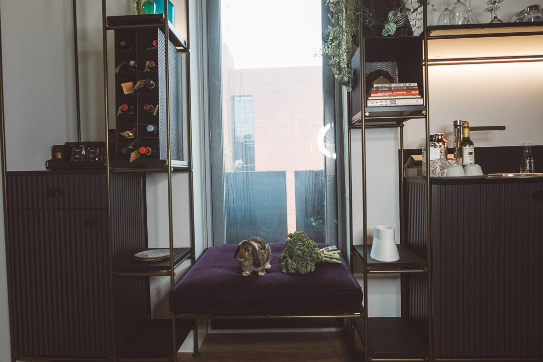 莱贡市中心优品酒店主图