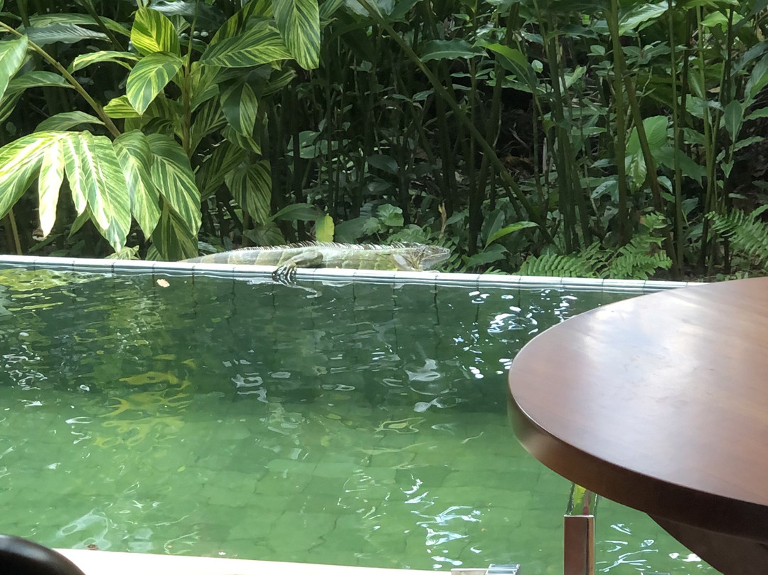 纳雅拉泉酒店主图