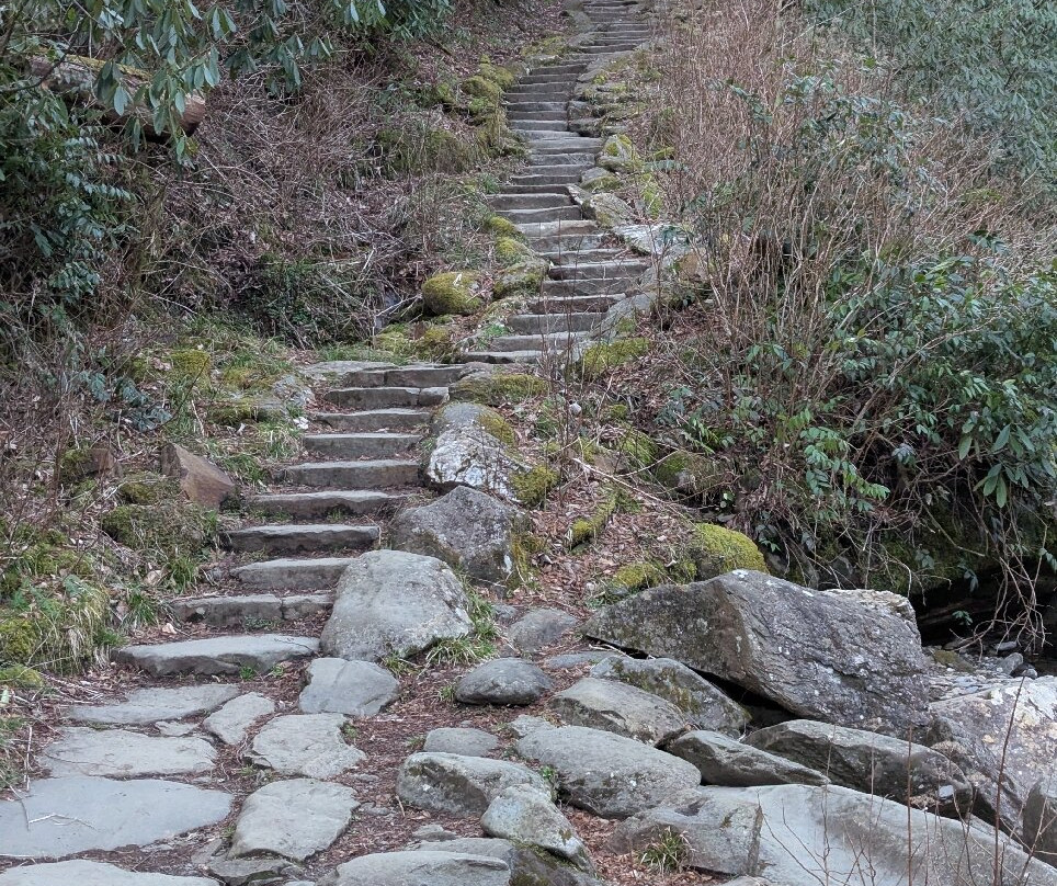 Chimney Tops Trail-大雾山国家公园必去景点