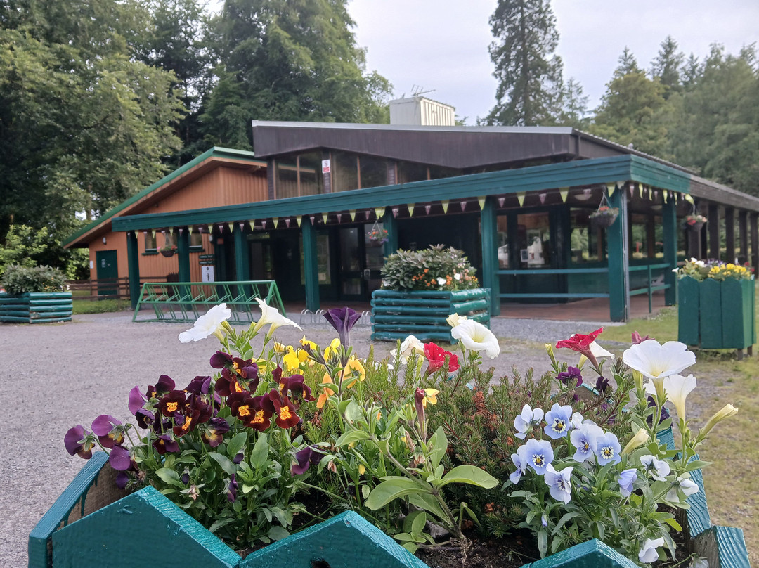Lough Key Caravan & Camping Park