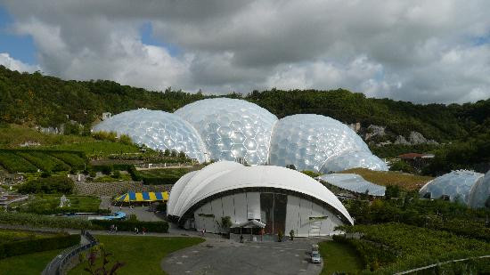 Palm Garden House主图