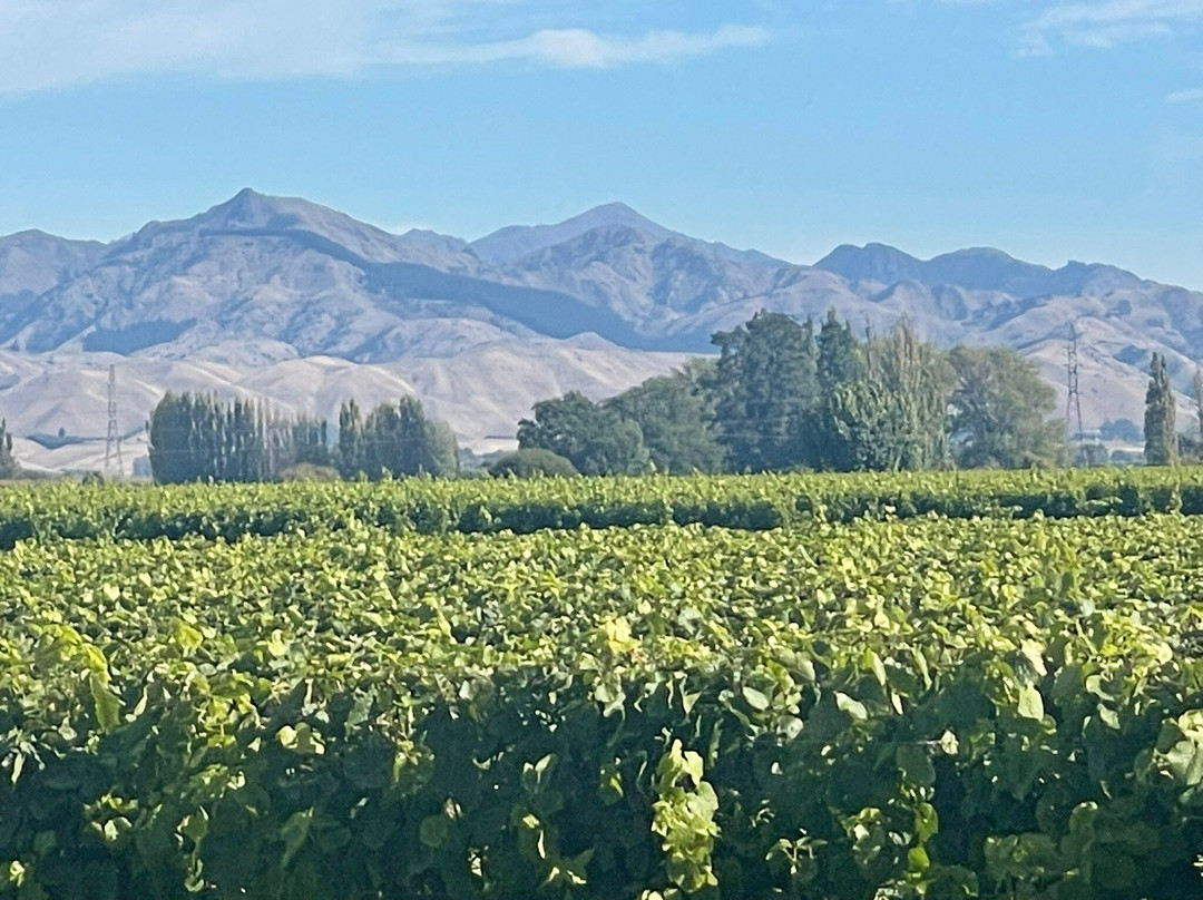 Saint Clair Family Estate Vineyard Kitchen景点图片