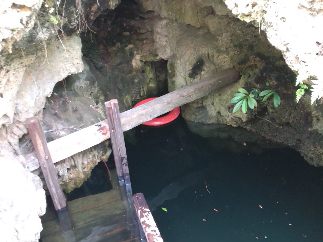 Cenote 7 Bocas-从莫雷洛斯港必去景点