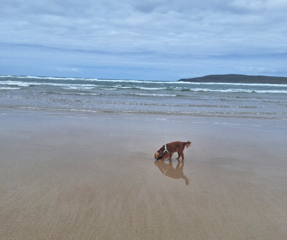 Maghera Beach and Caves景点图片