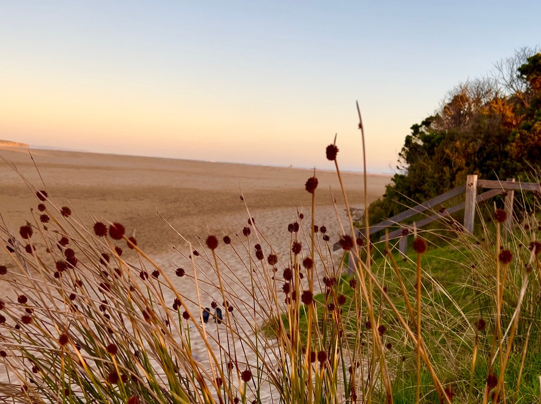 Peterborough House主图