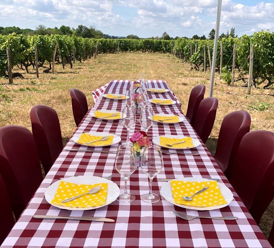 Domaine De Roche Blonde - Christophe Gaudron-Vernou-sur-Brenne必去景点