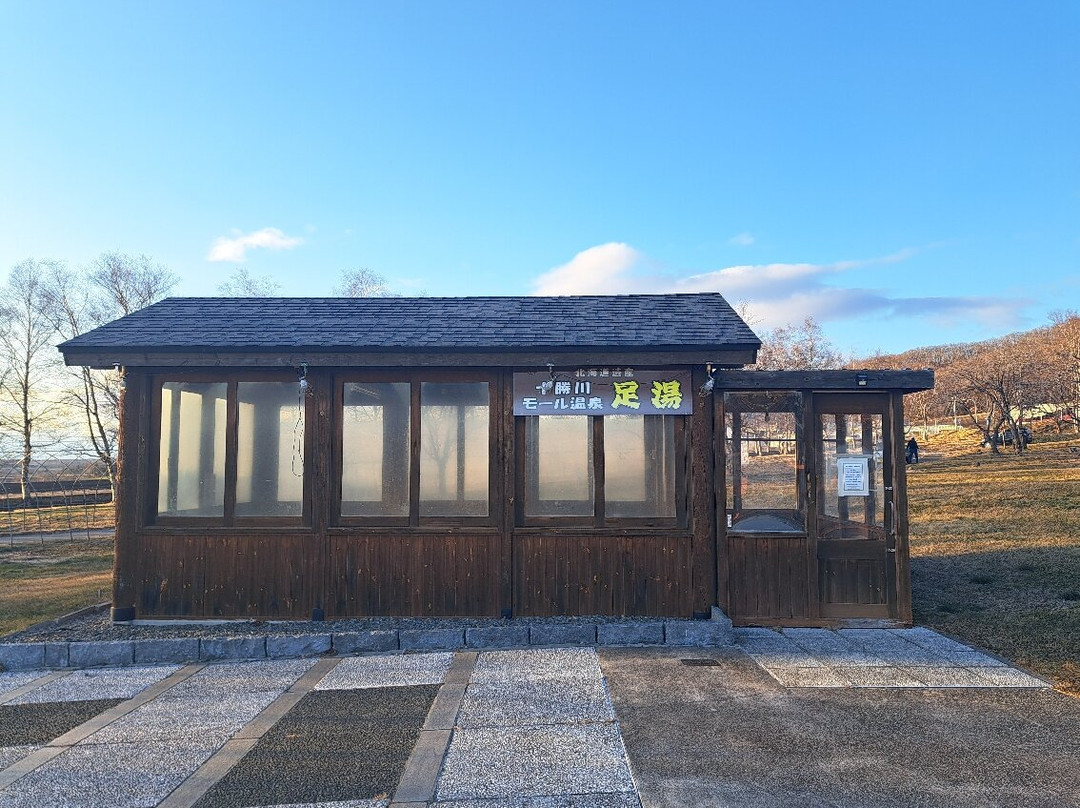 十勝之丘公園-音更町必去景点