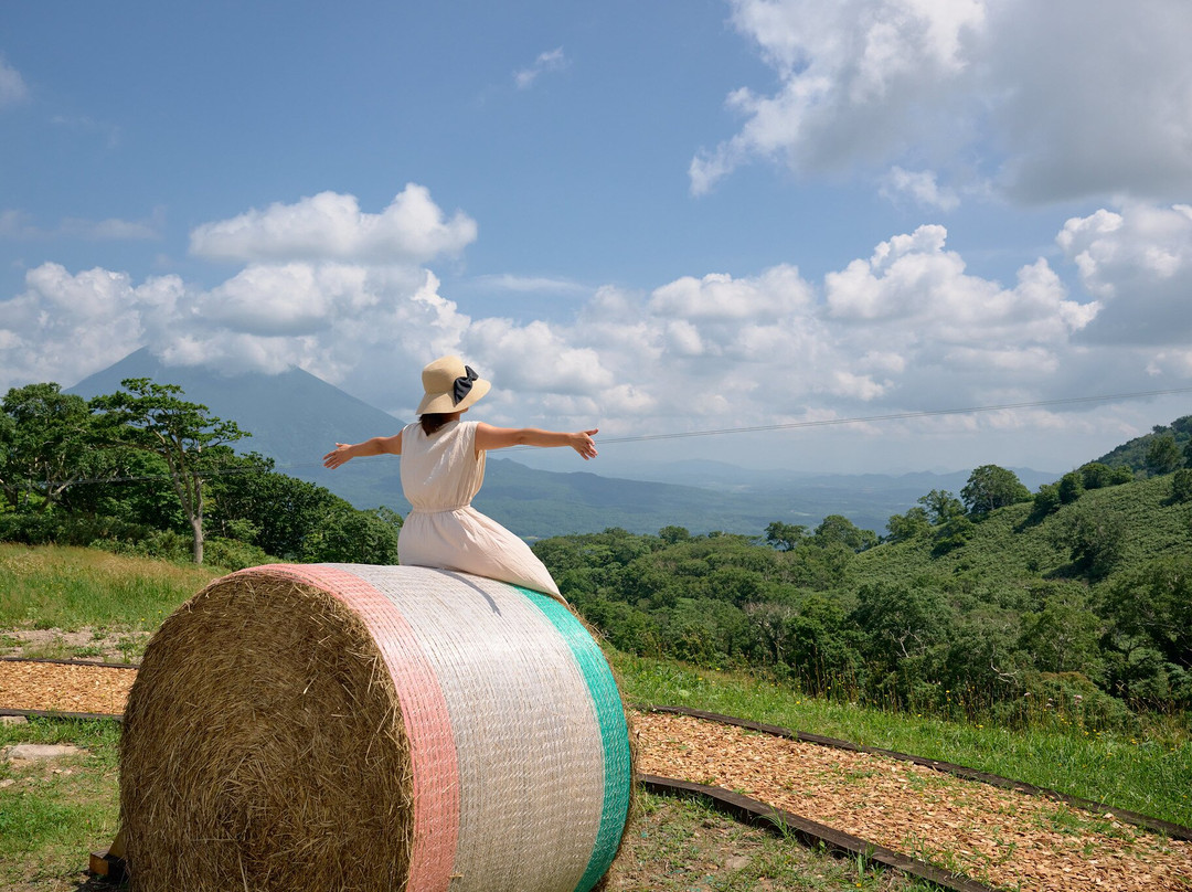 Hanazono Adventure Park-俱知安町必去景点