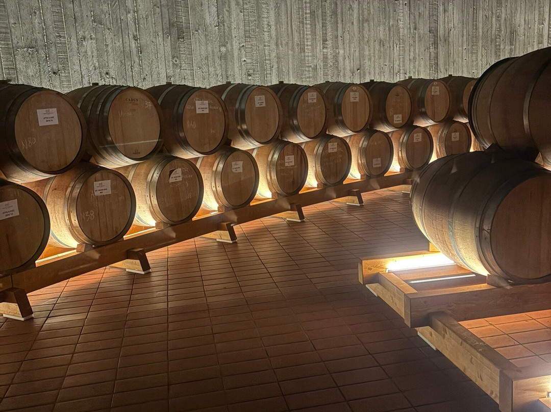 Castello Monte Vibiano Vecchio景点图片