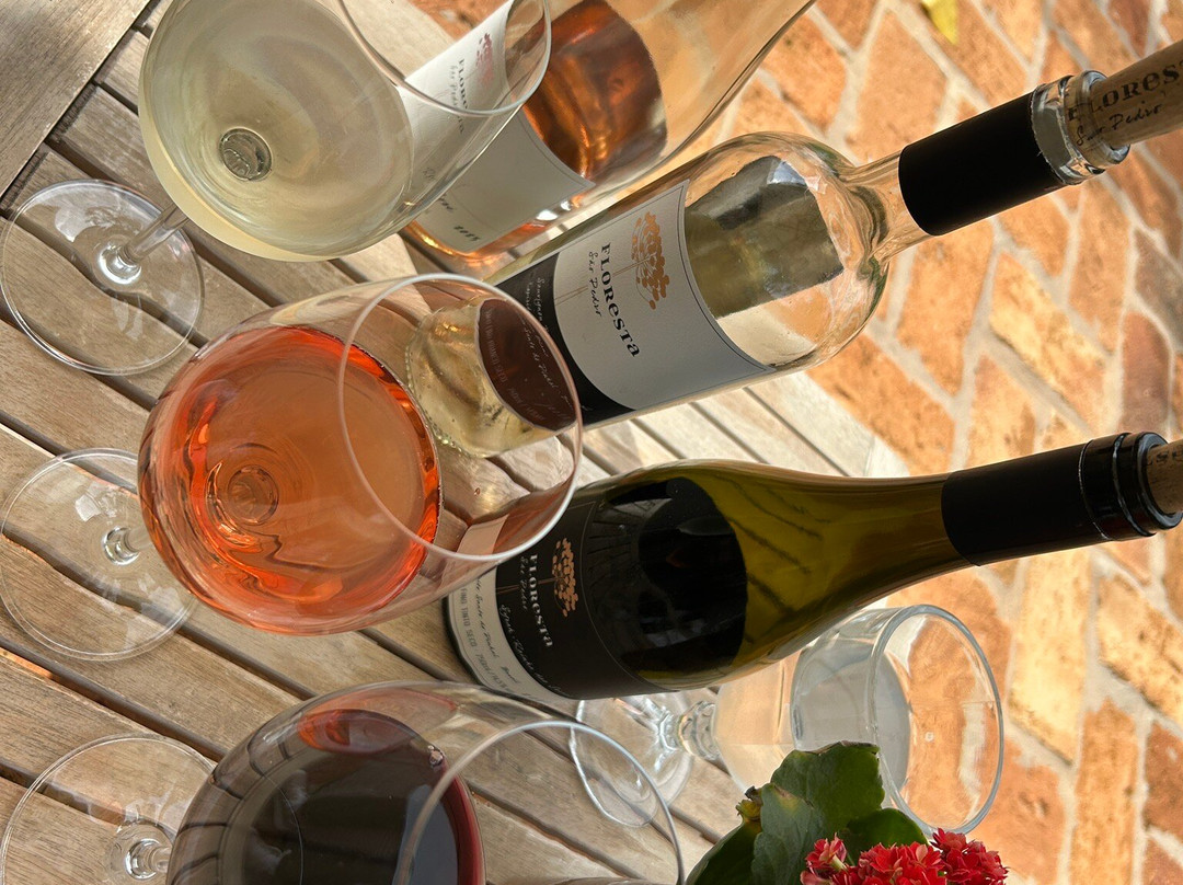 Vinicola Floresta São Pedro-Espirito Santo Do Pinhal必去景点