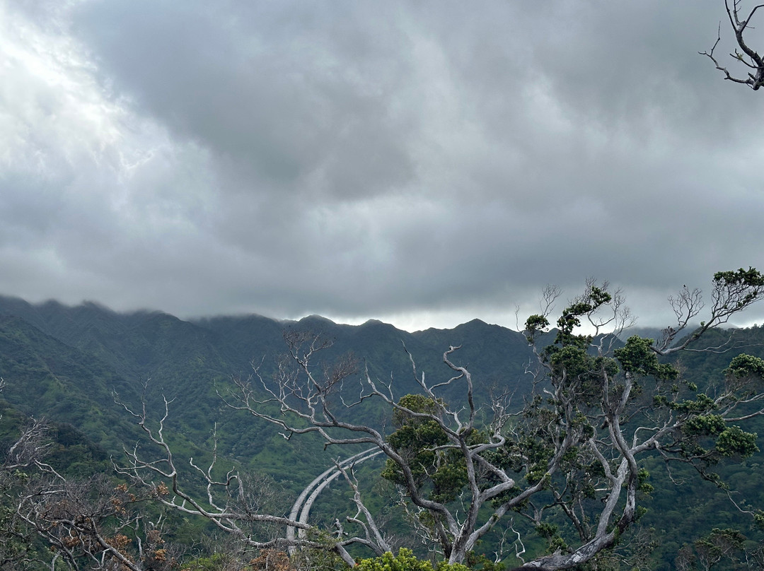 Aiea Loop Trail-阿伊亚必去景点