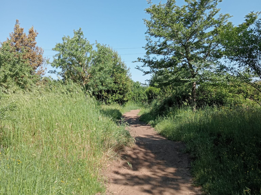 Parco Del Drago景点图片